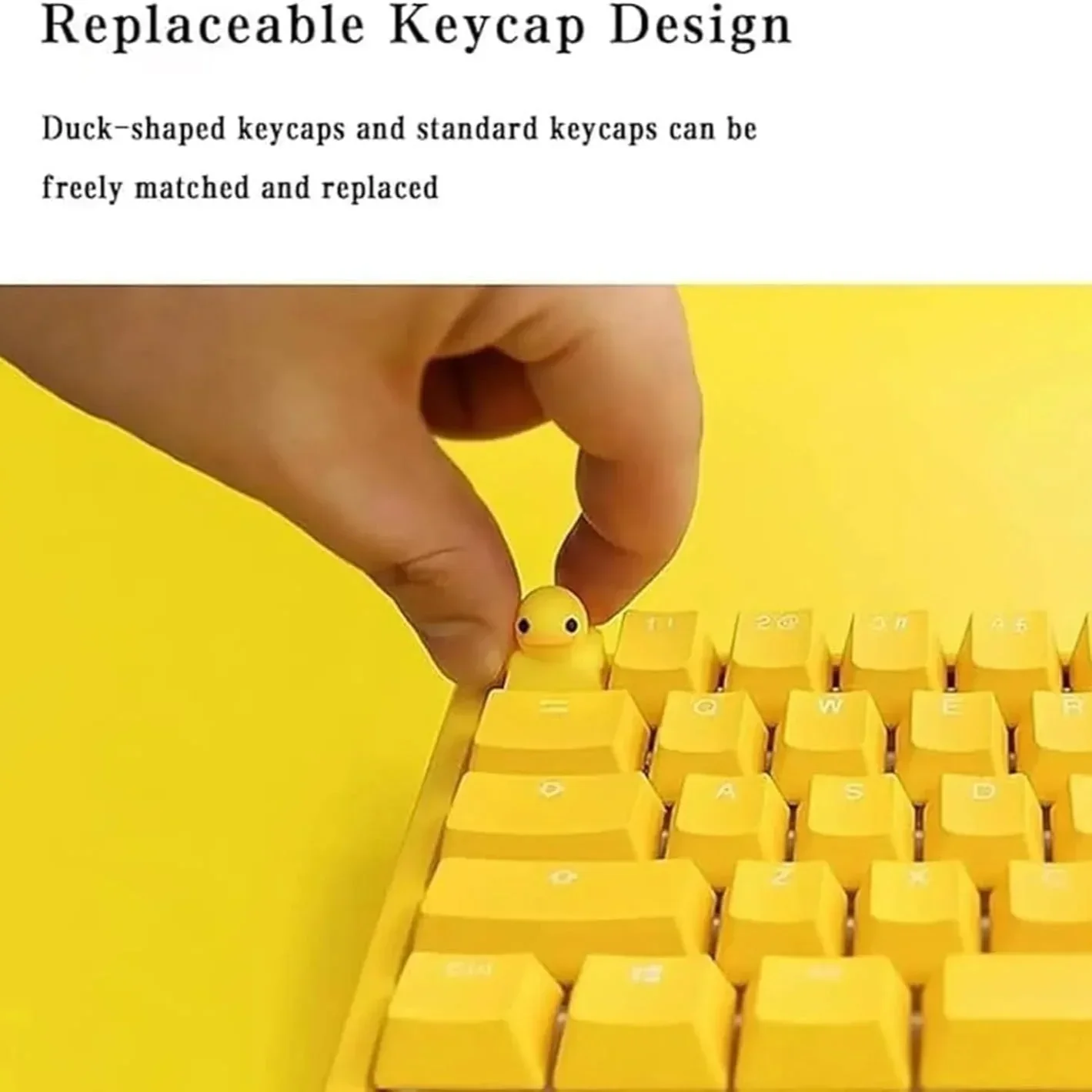 Quacky Duck LED Novelty Keyboard | My Bear Hugs